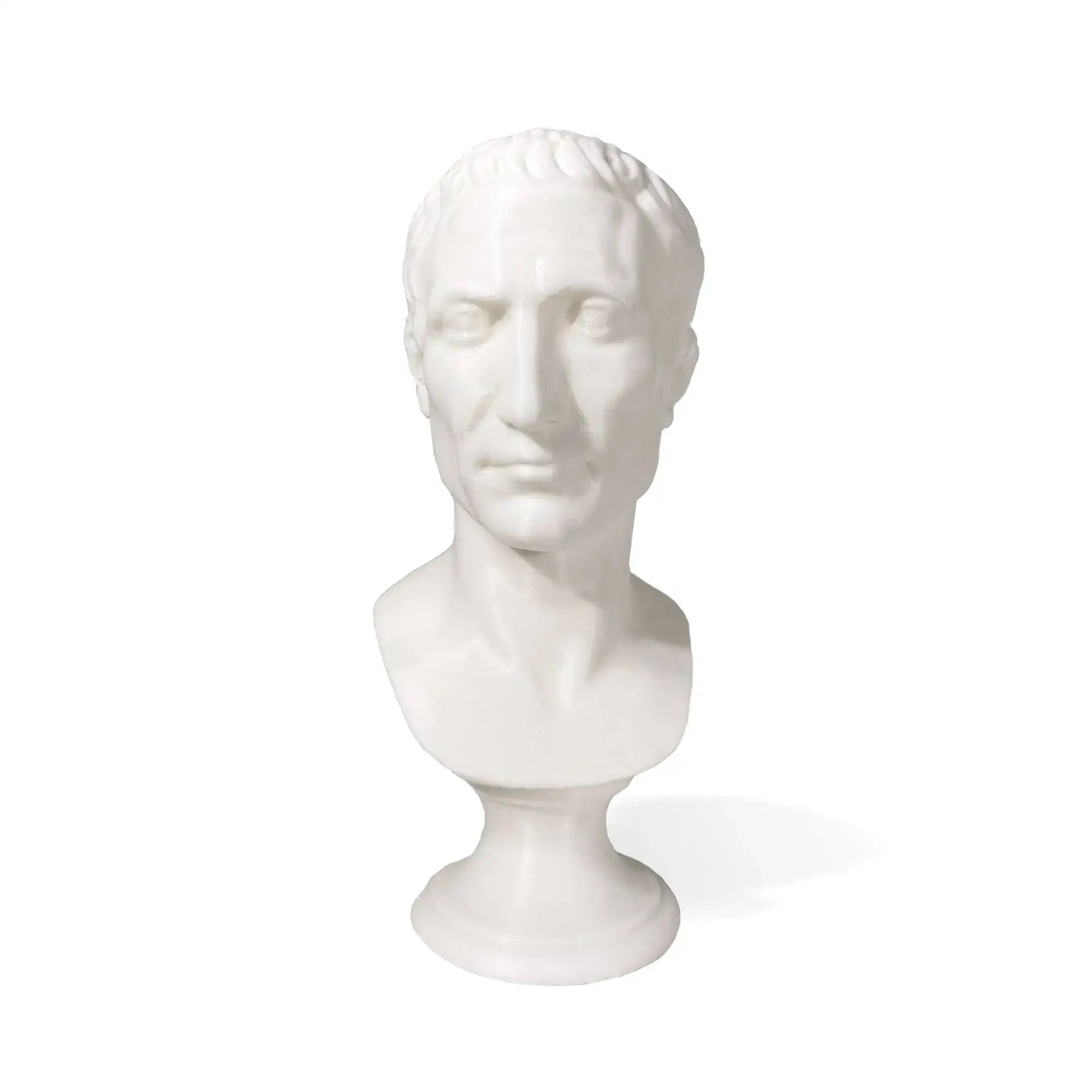 Busto Giulio Cesare - Stampa 3D