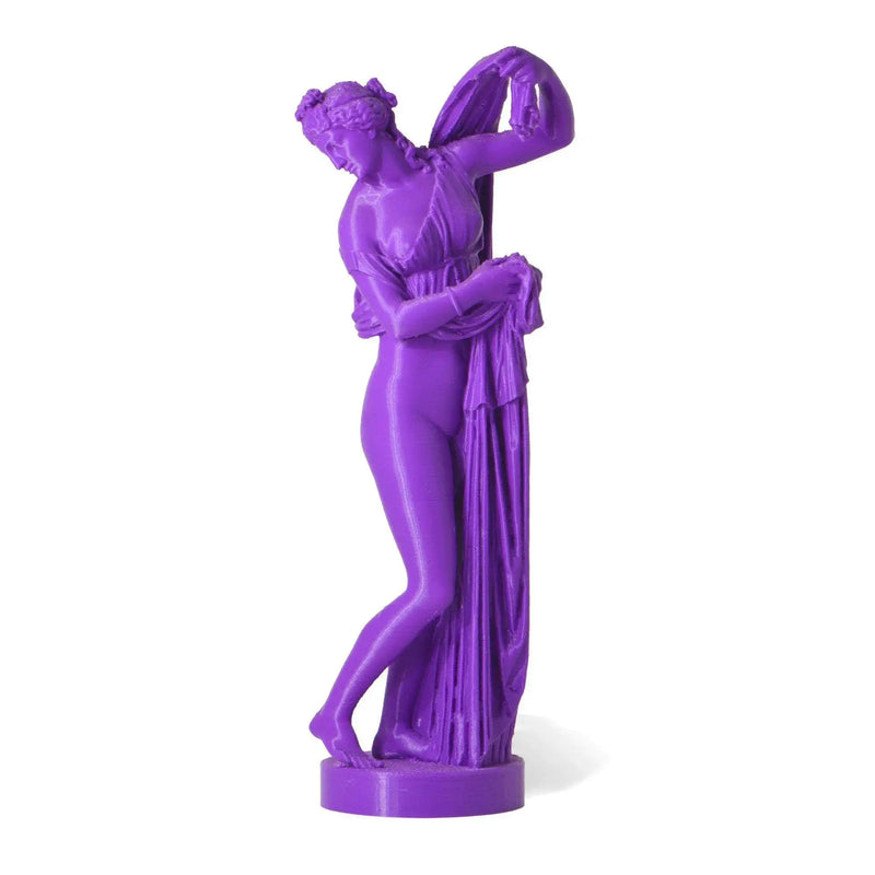 Venere Callipigia Statua stampata in 3D