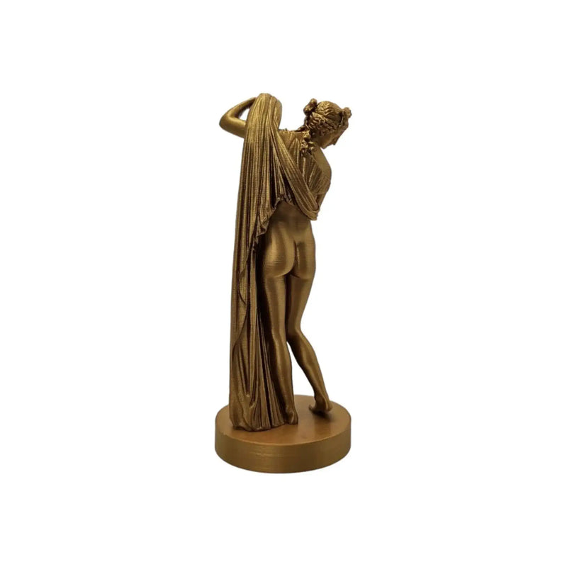 Venere Callipigia Statua stampata in 3D
