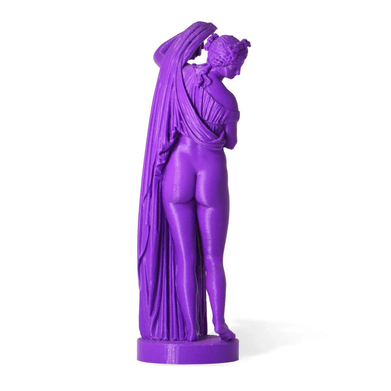 Venere Callipigia Statua stampata in 3D