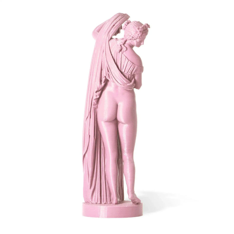 Venere Callipigia Statua stampata in 3D
