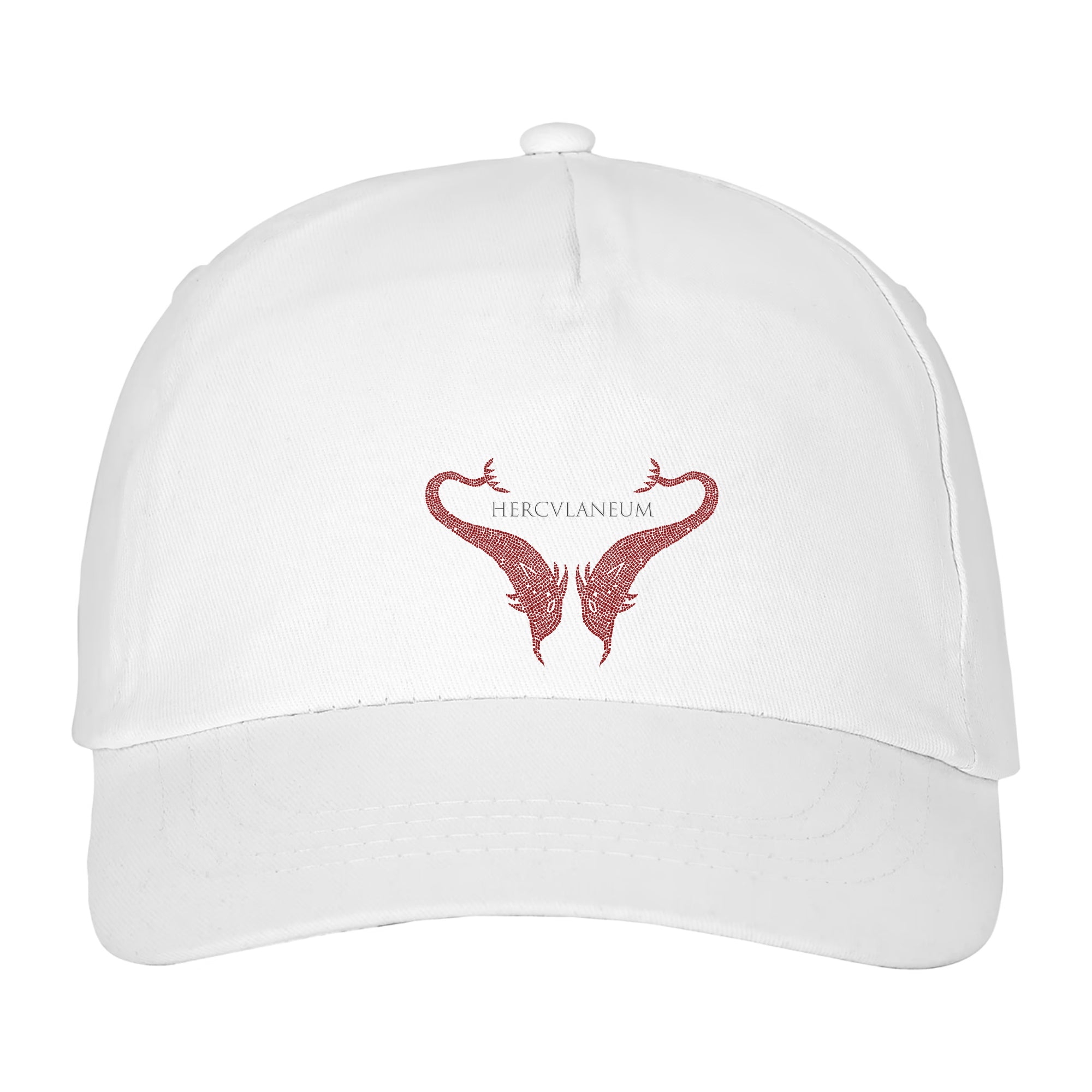 Cappello ispirato alla Casa dei Delfini