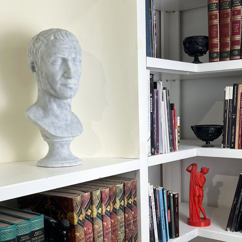 Busto in marmo bianco di Giulio Cesare esposto su una libreria bianca, contornato da volumi antichi e oggetti d’arte classica